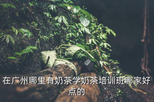 在廣州哪里有奶茶學奶茶培訓班哪家好點的
