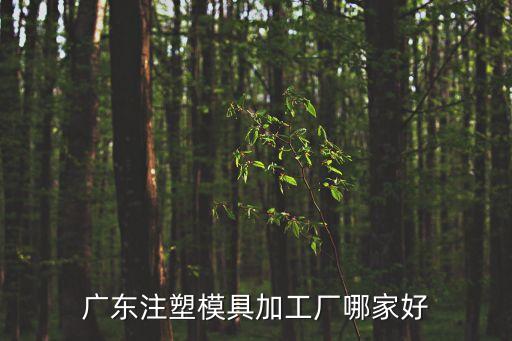 廣東注塑模具加工廠哪家好