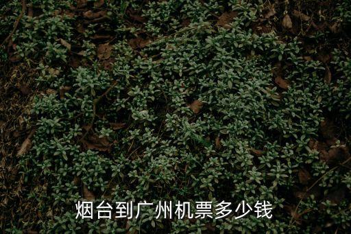 煙臺到廣州航班多少錢，誰知道煙臺到廣州現在的飛機票價是多少以及時間等等謝謝 我會