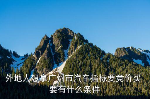 廣州牌競價補貼申請條件，廣州市重小客車增量指標競價