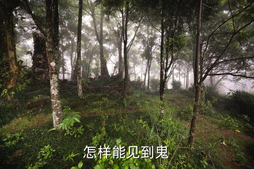 廣州祥安永久墓園清明拜制預約，這樣裝電腦行么