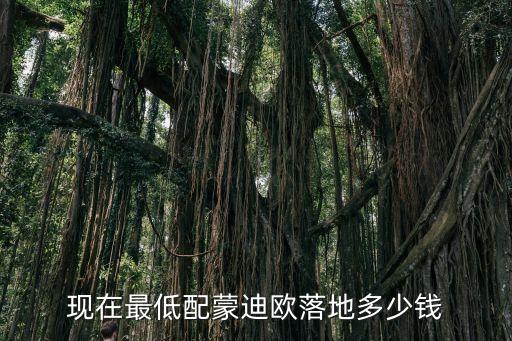 廣州蒙迪歐落地價，福特新款蒙迪歐車落地 全部辦完 需要多少錢
