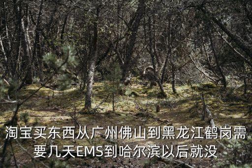 淘寶買東西從廣州佛山到黑龍江鶴崗需要幾天EMS到哈爾濱以后就沒