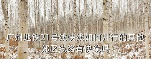 廣州地鐵21號線快線如何開行的其他郊區線路有快線嗎