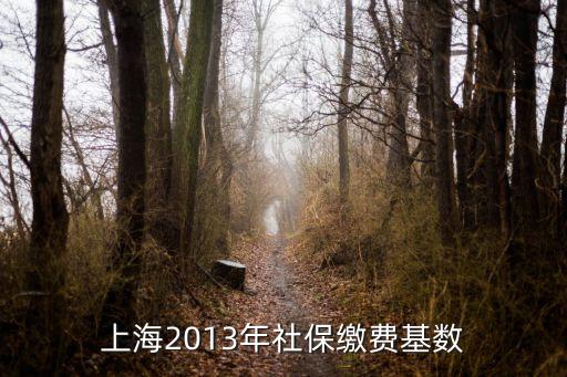 上海市2013繳費(fèi)基數(shù)，上海2013年社保繳費(fèi)基數(shù)