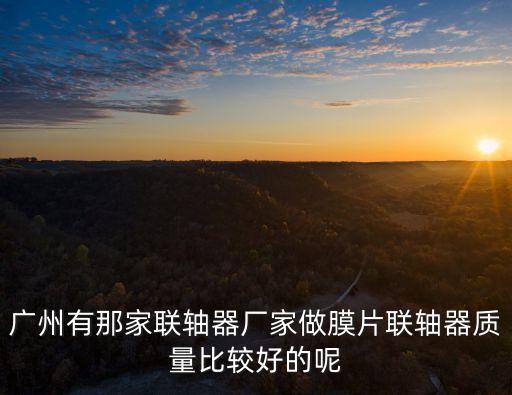 廣州有那家聯軸器廠家做膜片聯軸器質量比較好的呢