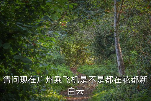 請問現在廣州乘飛機是不是都在花都新白云