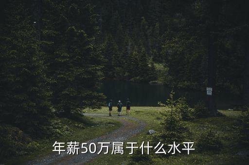 年薪50萬屬于什么水平