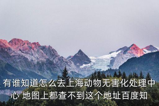 有誰知道怎么去上海動物無害化處理中心 地圖上都查不到這個地址百度知