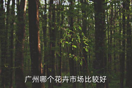 廣州哪個花卉市場比較好