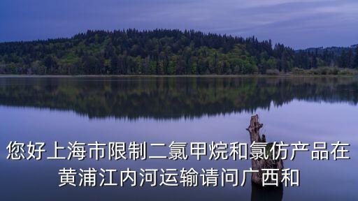 您好上海市限制二氯甲烷和氯仿產品在黃浦江內河運輸請問廣西和