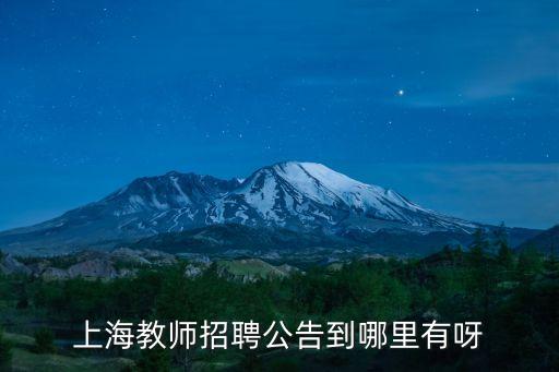 上海市ap化學教師 招聘，上海教師招聘信息在什么網站上有