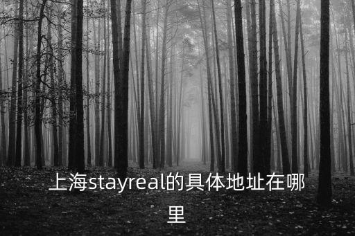 上海市區(qū)下朵咖啡地址，上海哪里有illy咖啡店求地址