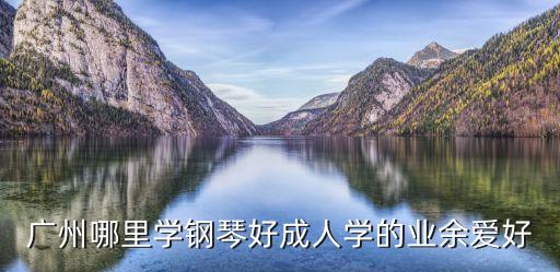 廣州哪里學鋼琴好成人學的業余愛好