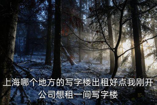上海哪個地方的寫字樓出租好點我剛開公司想租一間寫字樓