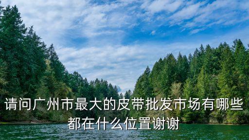 請問廣州市最大的皮帶批發(fā)市場有哪些都在什么位置謝謝