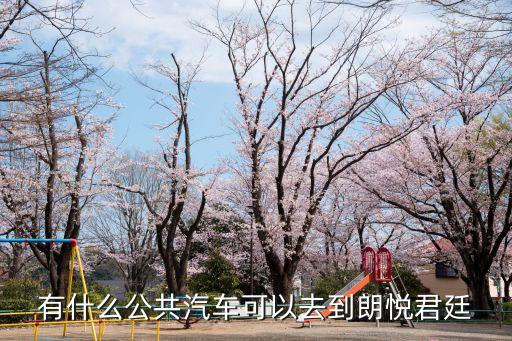 有什么公共汽車可以去到朗悅君廷