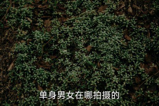 單身男女在哪拍攝的