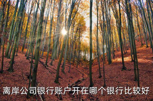 離岸公司銀行賬戶開在哪個銀行比較好