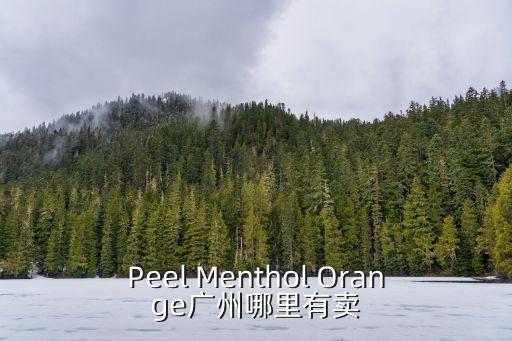廣州海底椰標哪里有賣，Peel Menthol Orange廣州哪里有賣