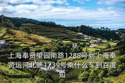 上海奉賢望園南路1288號到上海奉賢運河北路1239號乘什么車到百度知