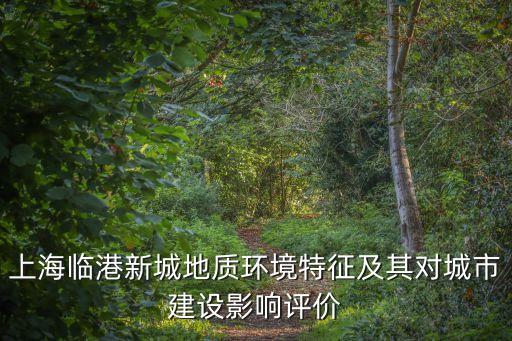 上海臨港新城地質環境特征及其對城市建設影響評價