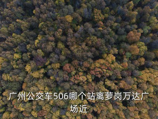 廣州公交車506哪個站離蘿崗萬達廣場近