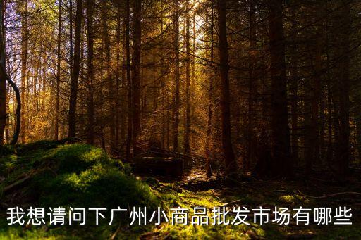 我想請問下廣州小商品批發市場有哪些