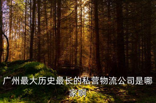 廣州市兆明運輸有限公司，廣州最大歷史最長的私營物流公司是哪家啊