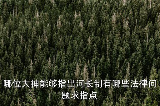 上海市 河長制，哪位大神能夠指出河長制有哪些法律問題求指點
