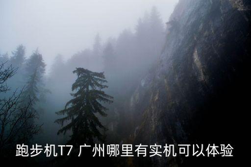 跑步機T7 廣州哪里有實機可以體驗