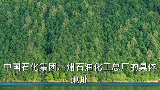 中國石化集團廣州石油化工總廠的具體地址