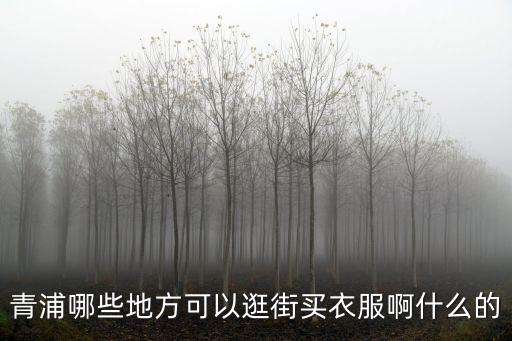 上海市青浦購物必去的地方，青浦哪些地方可以逛街買衣服啊什么的