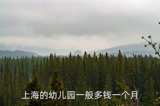 上海的幼兒園一般多錢一個(gè)月