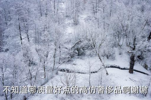 不知道哪質量好點的高仿奢侈品啊謝謝