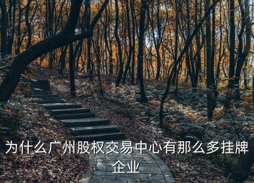 為什么廣州股權(quán)交易中心有那么多掛牌企業(yè)