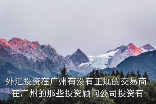 外匯投資在廣州有沒有正規(guī)的交易商 在廣州的那些投資顧問公司投資有