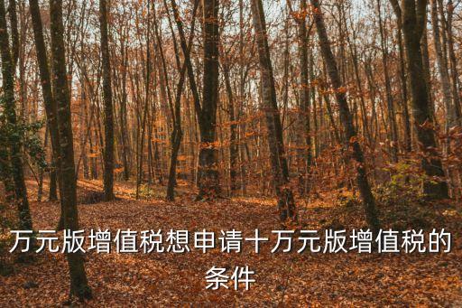 上海市發(fā)票申請十萬元版，上海申請十萬元版發(fā)票都需要哪些東西