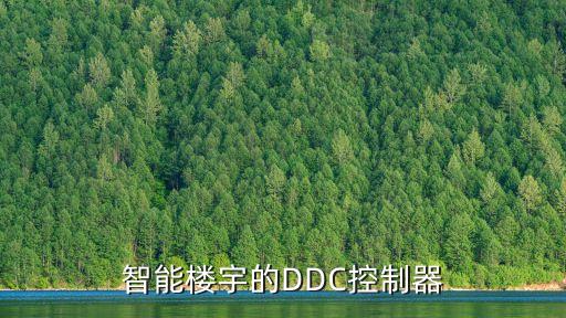 智能樓宇的DDC控制器