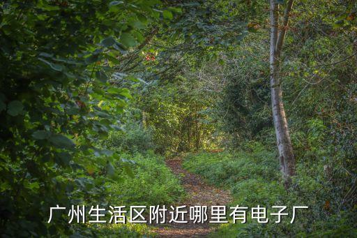 廣州生活區附近哪里有電子廠