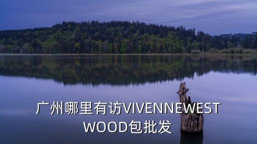 廣州哪里有訪VIVENNEWESTWOOD包批發