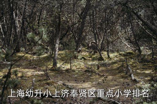 上海市2020小學(xué)梯隊(duì)，上海幼升小上濟(jì)奉賢區(qū)重點(diǎn)小學(xué)排名