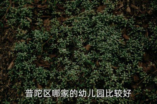 上海市普陀山武寧路幼兒園，普陀區哪家的幼兒園比較好