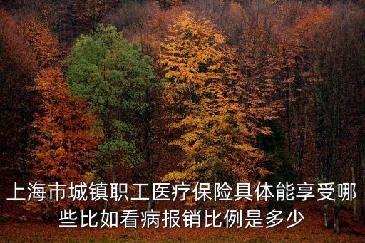 上海市城鎮(zhèn)職工醫(yī)療保險(xiǎn)具體能享受哪些比如看病報(bào)銷比例是多少