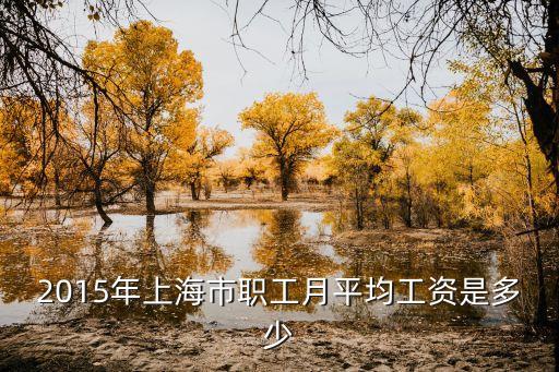 2015年上海市職工月平均工資是多少