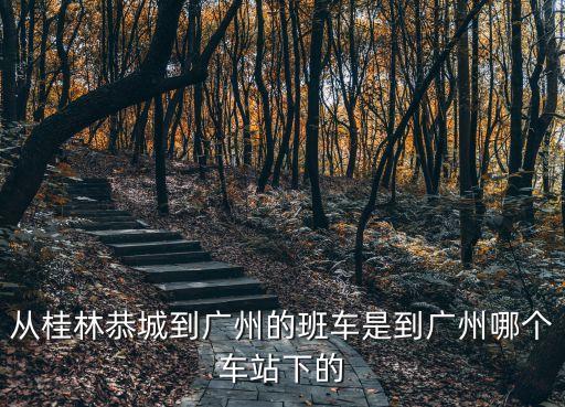 從桂林恭城到廣州的班車是到廣州哪個車站下的