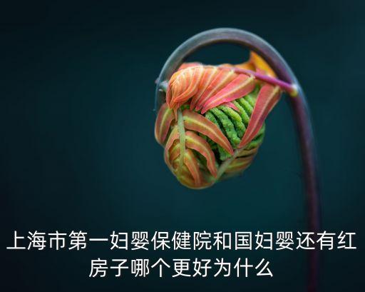 上海市第一婦嬰保健院和國婦嬰還有紅房子哪個更好為什么