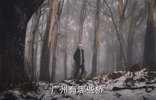 廣州有哪些橋