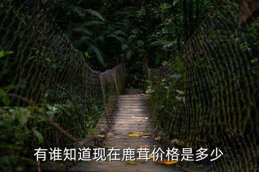 廣州干鹿茸報(bào)價(jià)，鹿茸一般市場(chǎng)價(jià)是多少錢一公斤啊