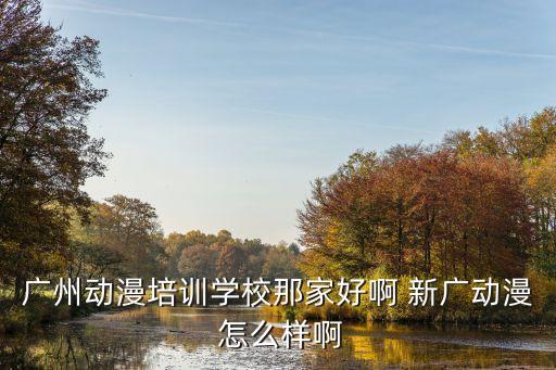 廣州動(dòng)漫培訓(xùn)學(xué)校那家好啊 新廣動(dòng)漫 怎么樣啊
